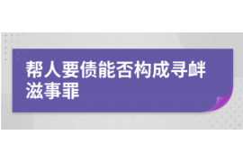 成华为什么选择专业追讨公司来处理您的债务纠纷？